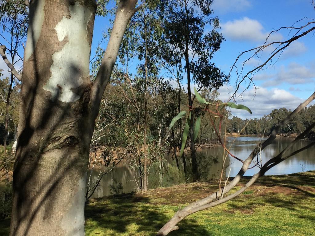Riverspa Apartments Moama Dış mekan fotoğraf